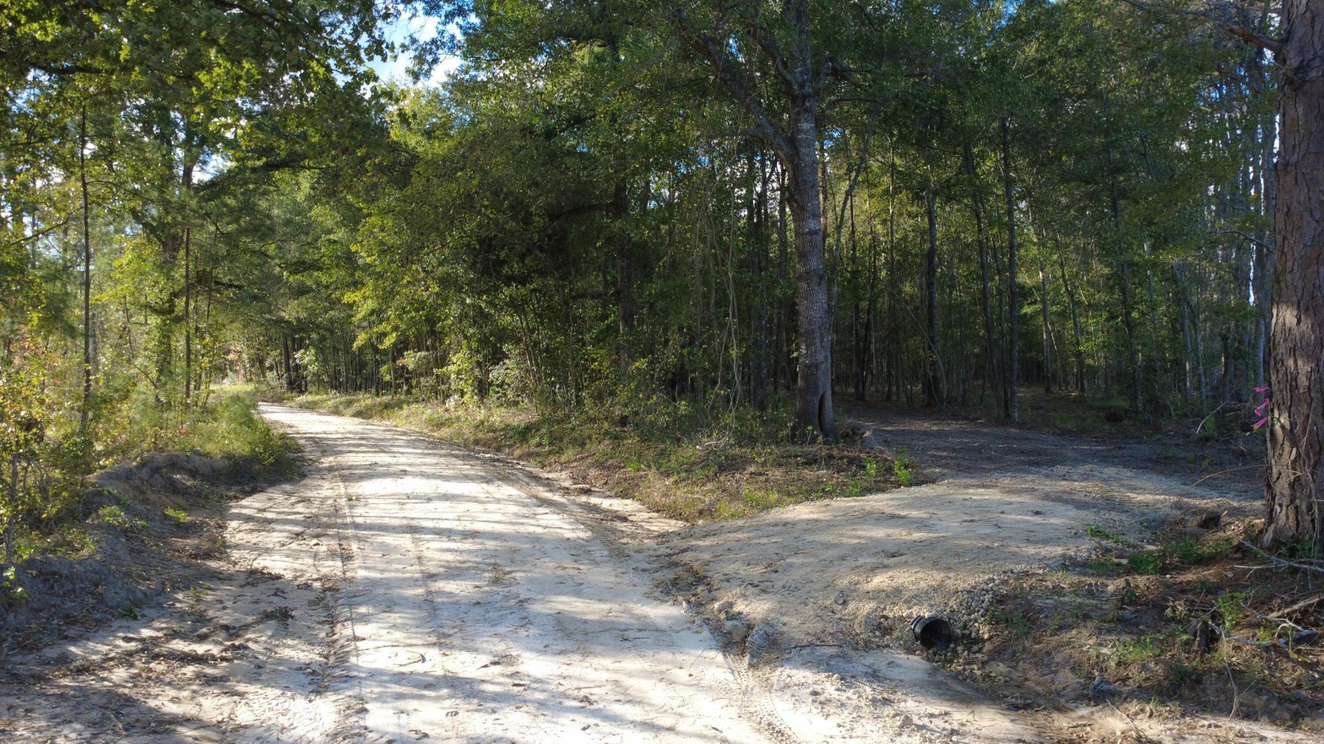 0 Gum Branch & Sweetgum Road Photo 14