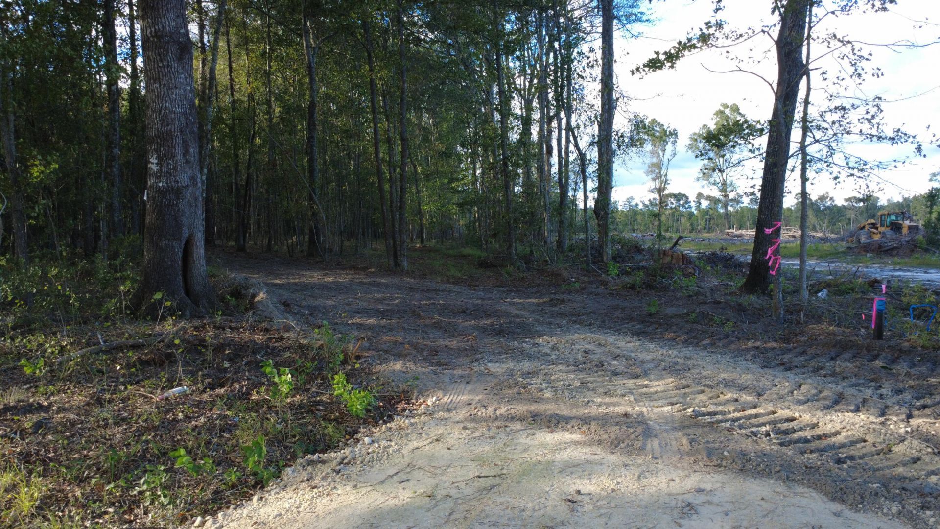 0 Gum Branch & Sweetgum Road Photo 15