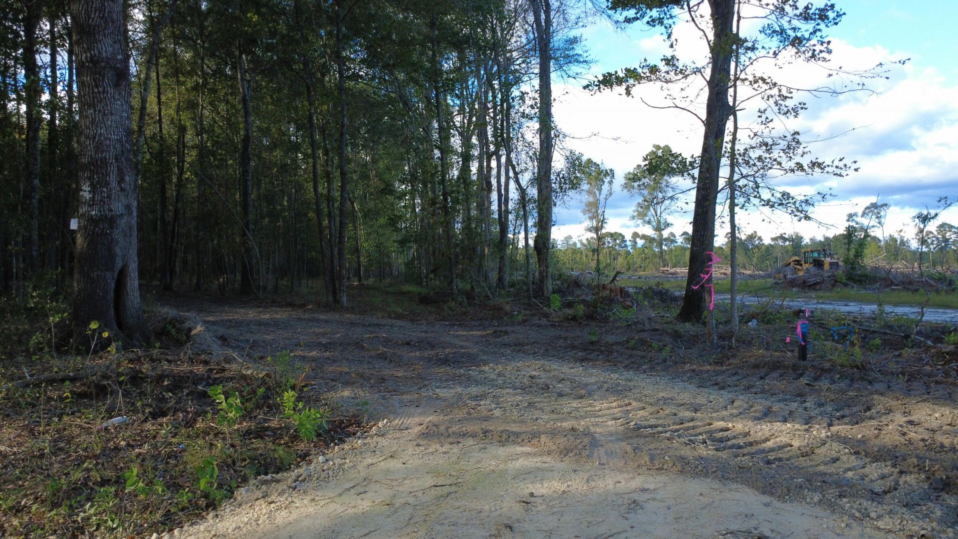 0 Gum Branch & Sweetgum Road Photo 16