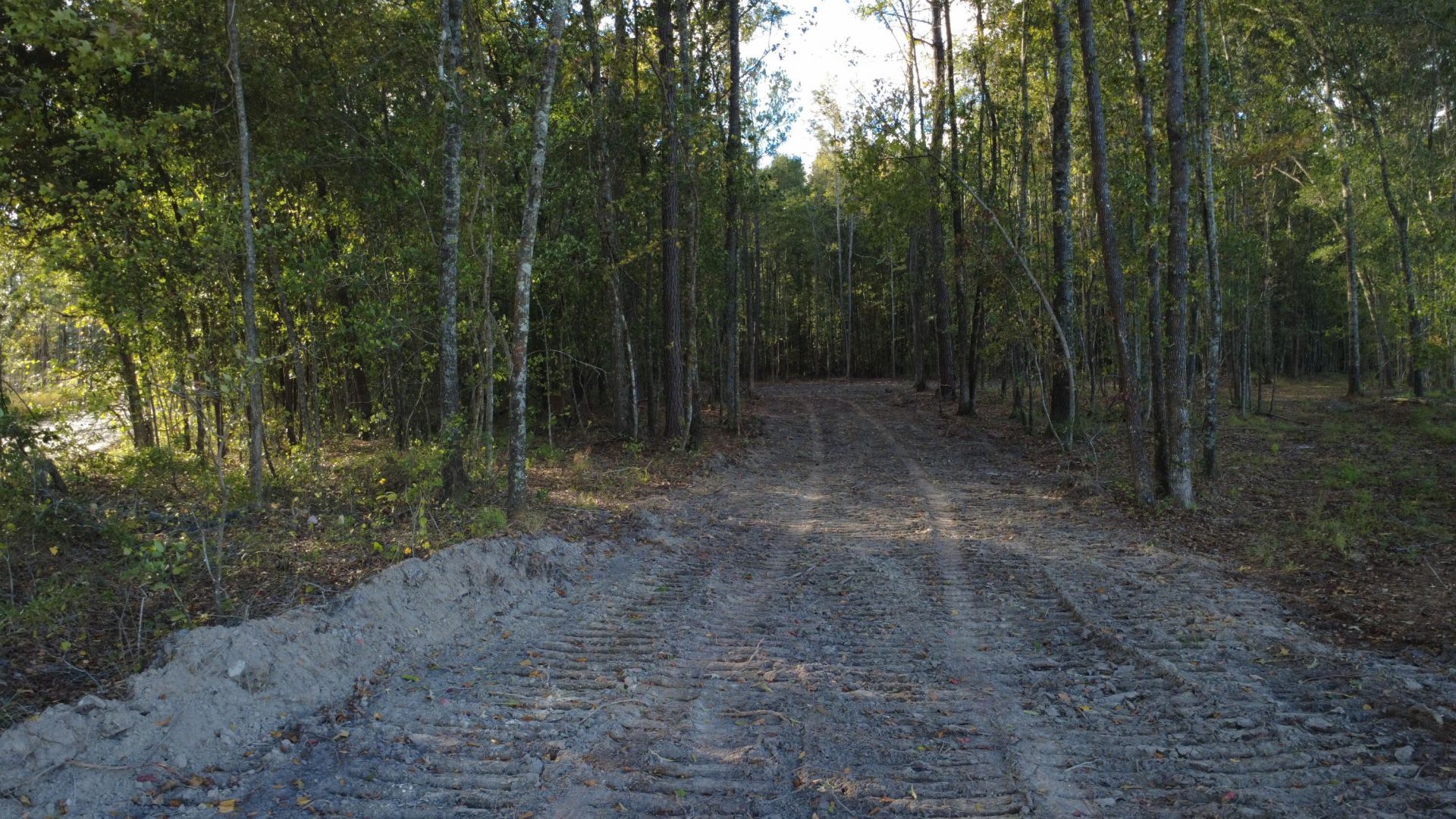 0 Gum Branch & Sweetgum Road Photo 17