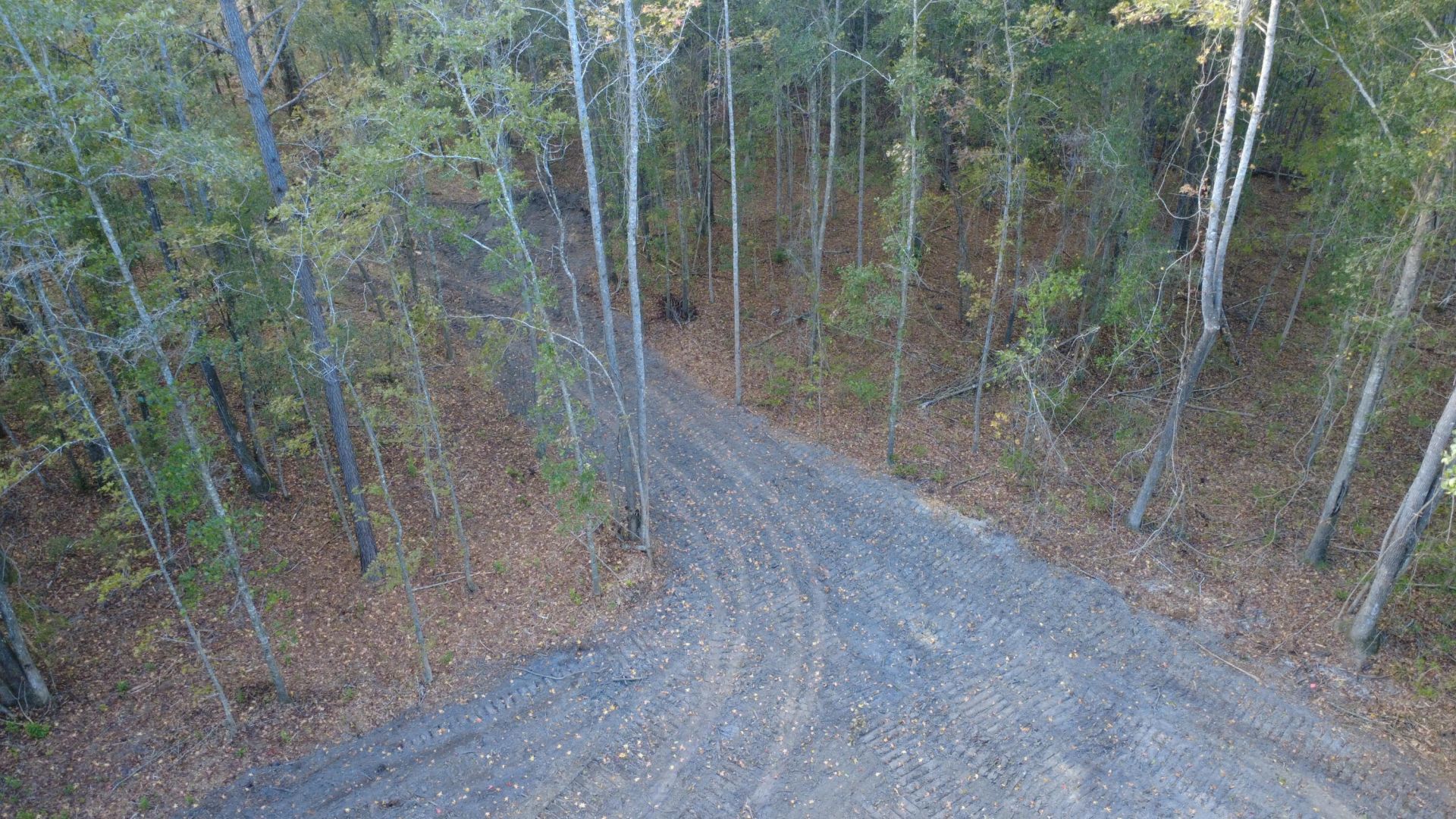 0 Gum Branch & Sweetgum Road Photo 18