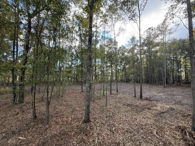 0 Gum Branch & Sweetgum Road Photo 20