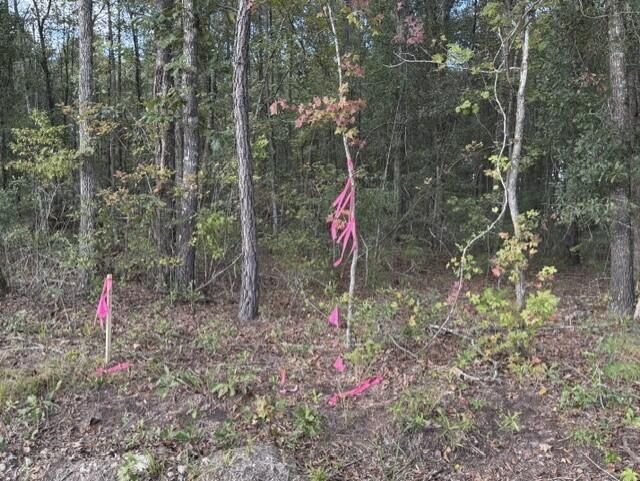 0 Gum Branch & Sweetgum Road Photo 23