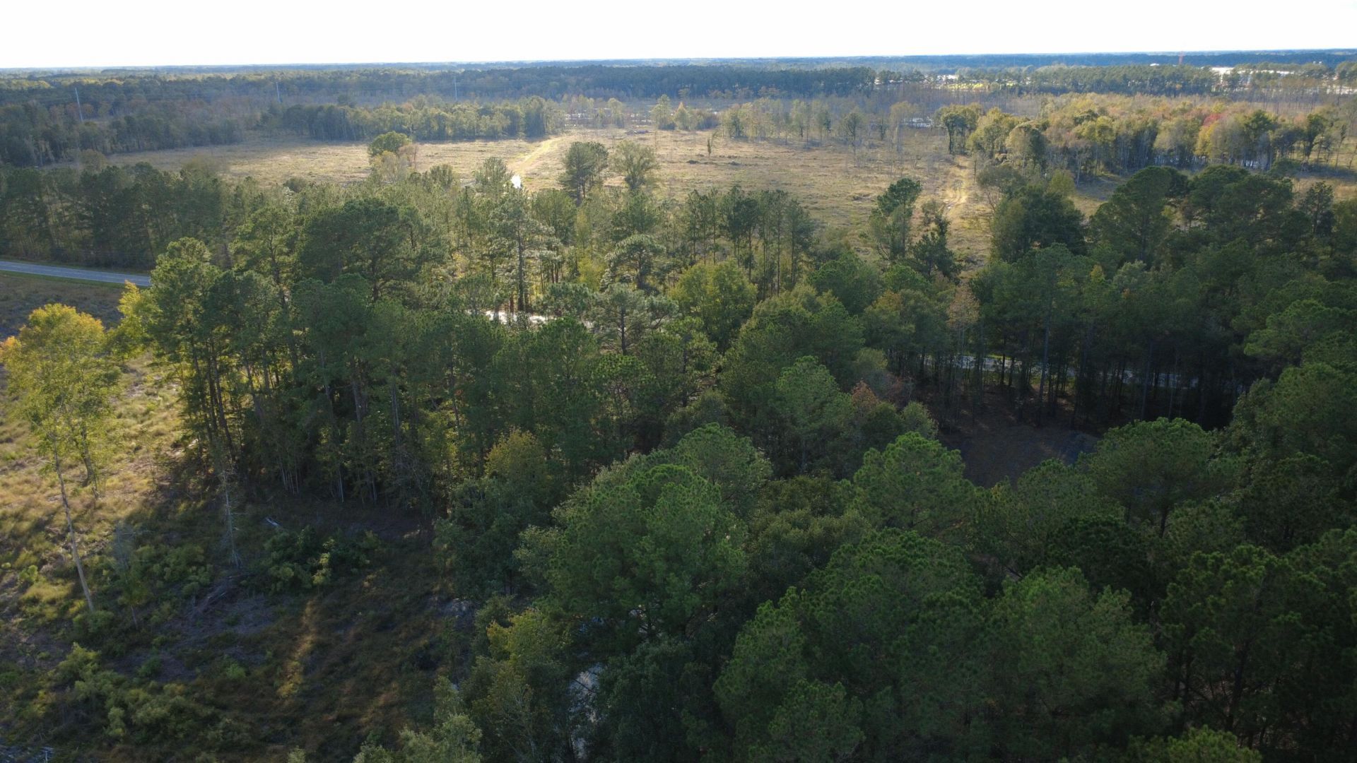 0 Gum Branch & Sweetgum Road Photo 25