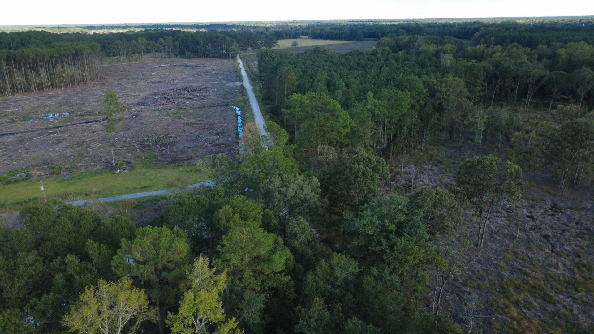 0 Gum Branch & Sweetgum Road Photo 26