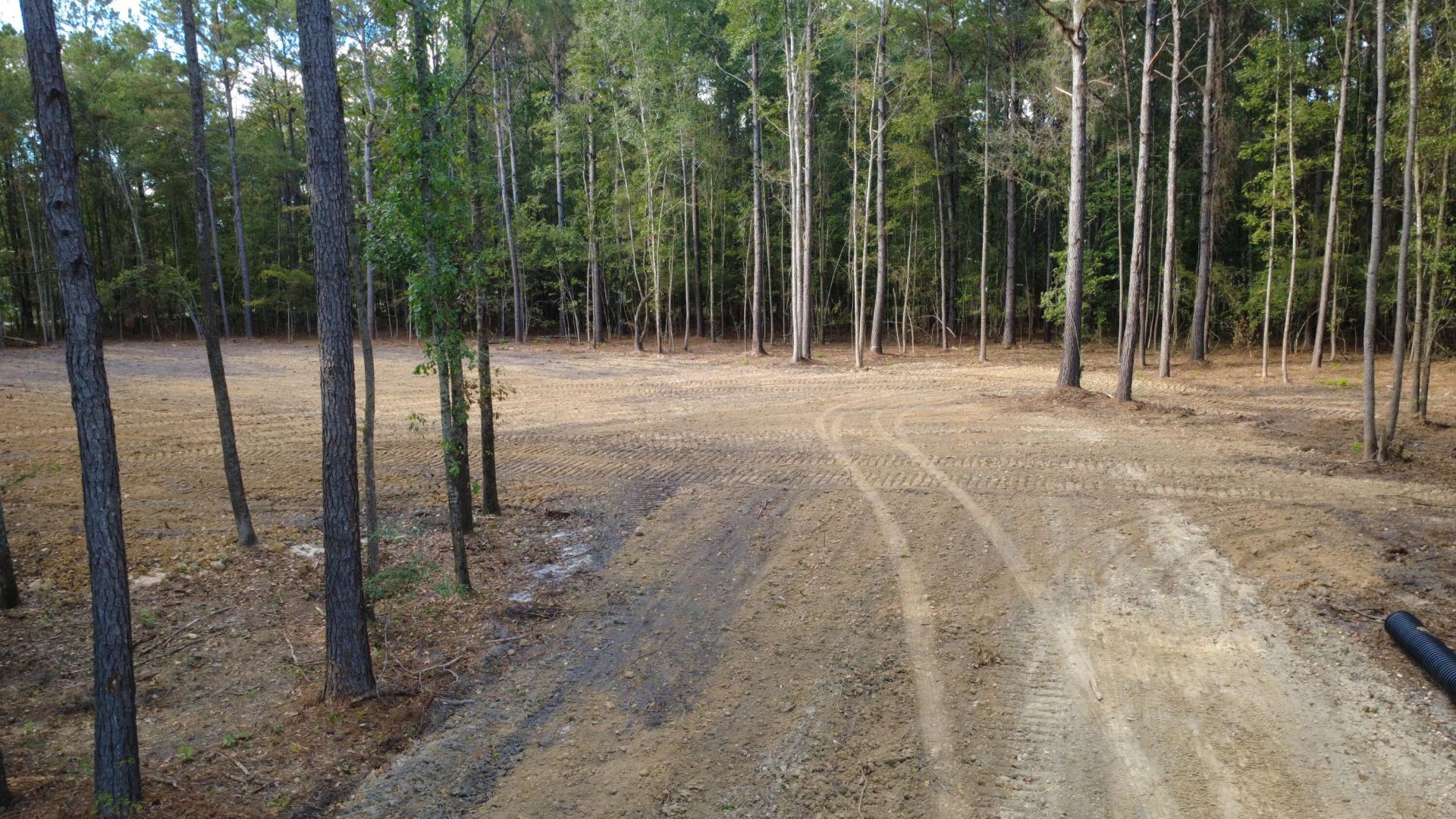 0 Gum Branch & Sweetgum Road Photo 8