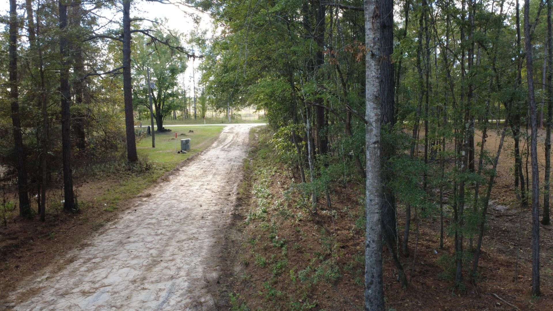 0 Gum Branch & Sweetgum Road Photo 9