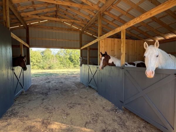 220 RICH RD, Somerville, TN 38068