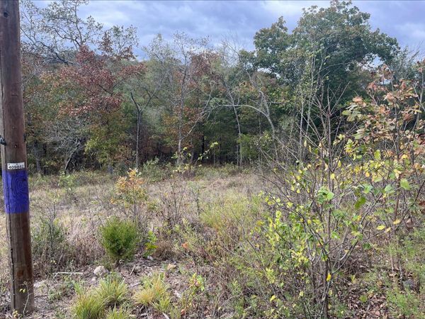 Lot 15 Oak Lane , Shell Knob, MO 65747
