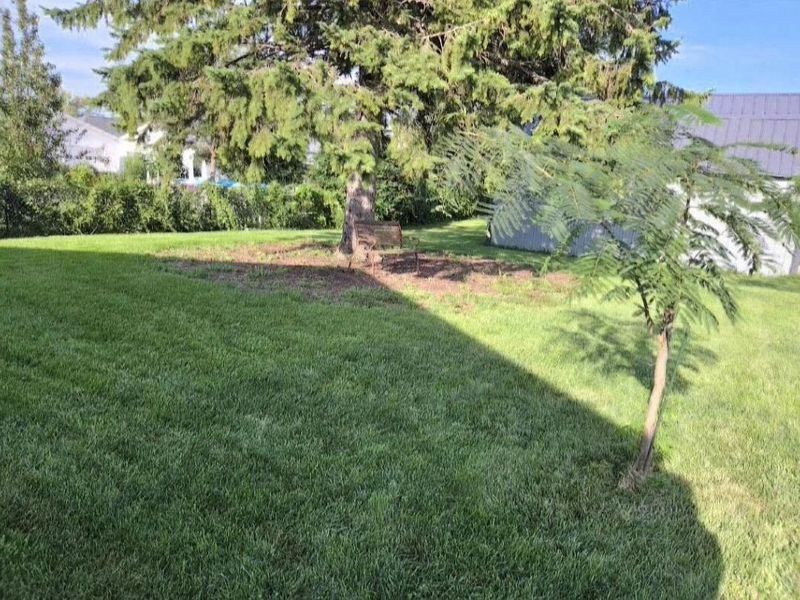 33 Morgan Street, Versailles, OH 45380 Photo 5
