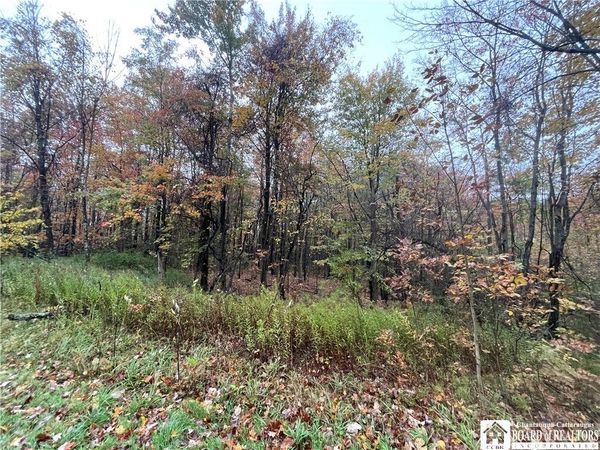 Park Road, Cassadaga, NY 14718