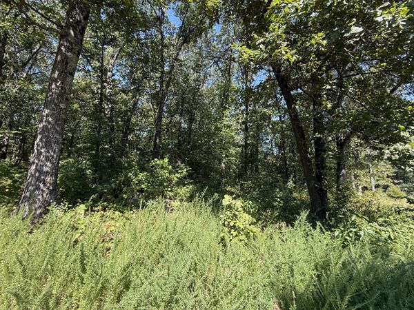 Lot 5 E 322 Lane , Grove, OK 74344