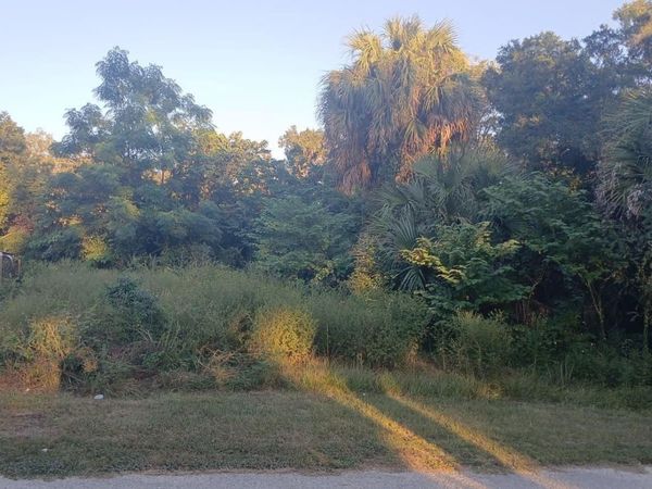 425 NW 12TH AVENUE , OCALA, FL 34475