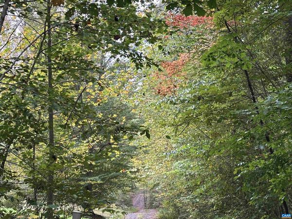 lot 2 FREDERICKSBURG RD , Ruckersville, VA 22968