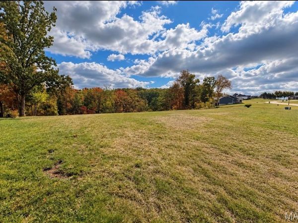 1010 E Stonebridge Place , Festus, MO 63028