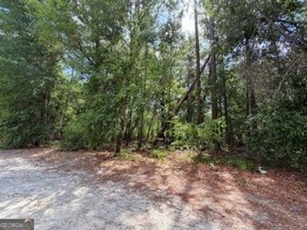 0 Lakeview Drive, Alamo, GA 30411