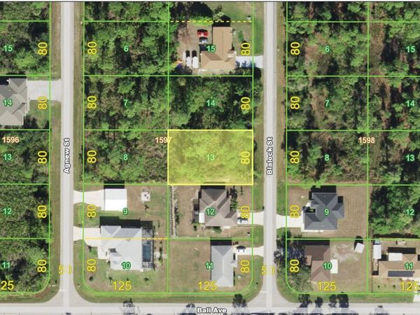 1213 BLALOCK STREET , PORT CHARLOTTE, FL 33980