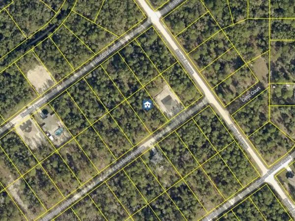 LOT 15 RESORT AVENUE , WEEKI WACHEE, FL 34614