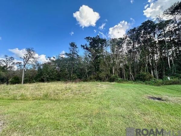 19348 Plantation Trace Dr, Livingston, LA 70754