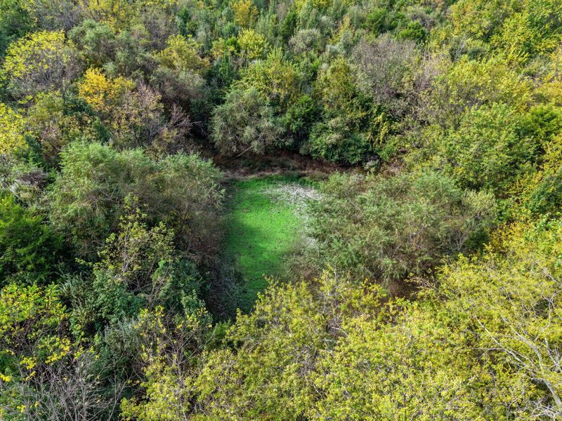 3520 Moffett Road, Morning View, KY 41063 Photo 48