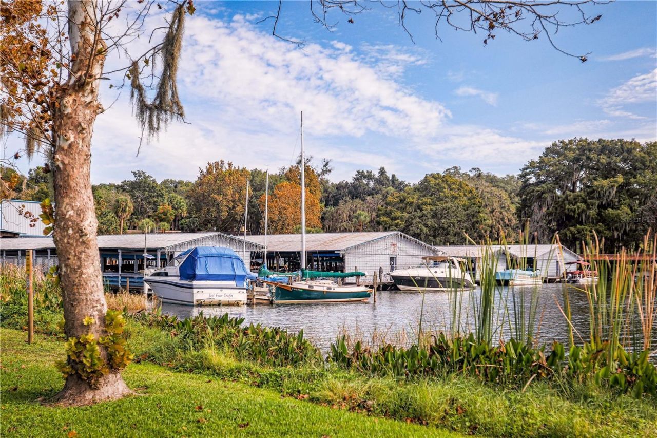 100 Tremain Street , Unit G1, Mount Dora, FL 32757 Photo