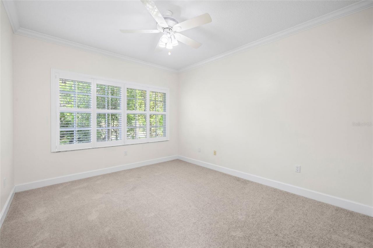 12009 Brewster Drive , Tampa, FL 33626 Photo
