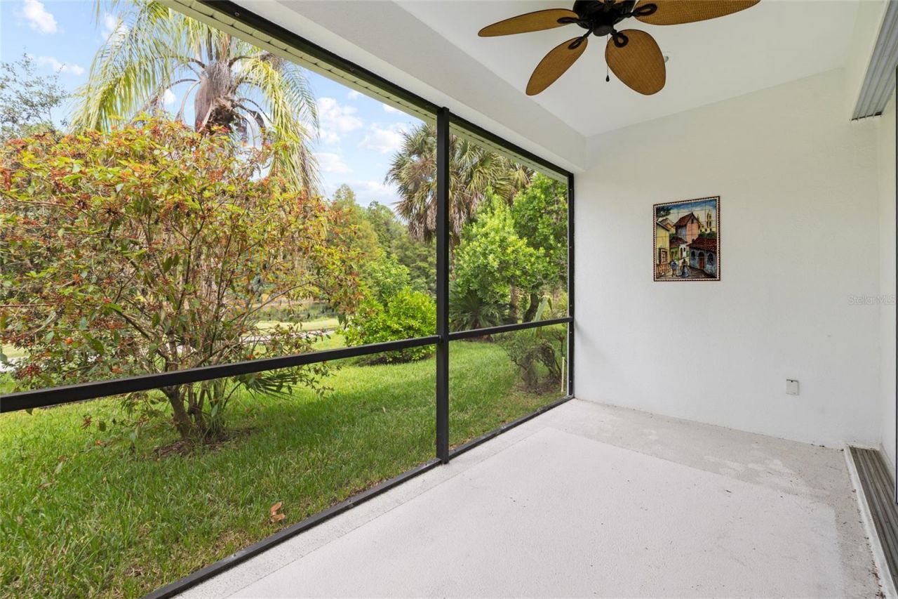 12009 Brewster Drive , Tampa, FL 33626 Photo