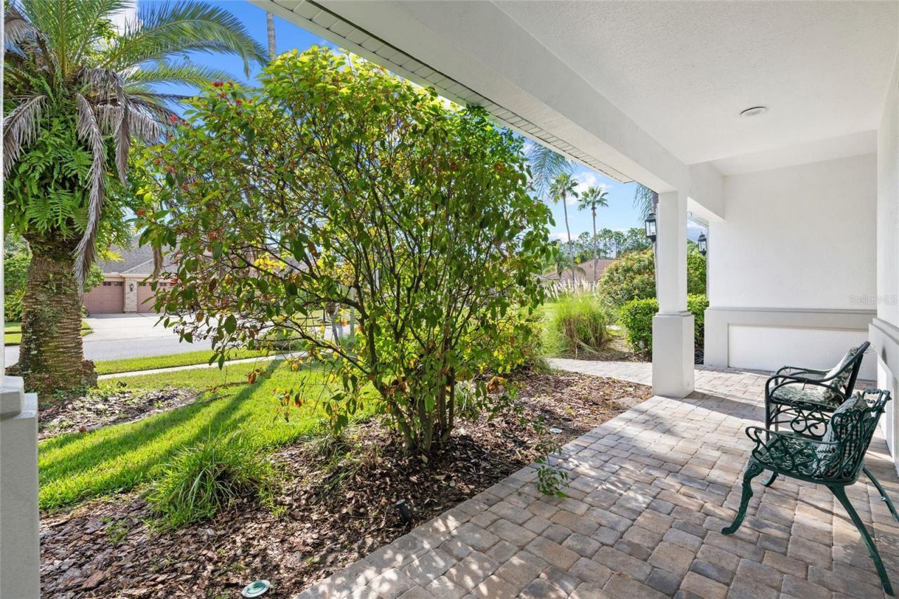 12009 Brewster Drive , Tampa, FL 33626 Photo