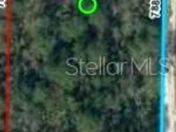 SE 30TH STREET , MORRISTON, FL 32668