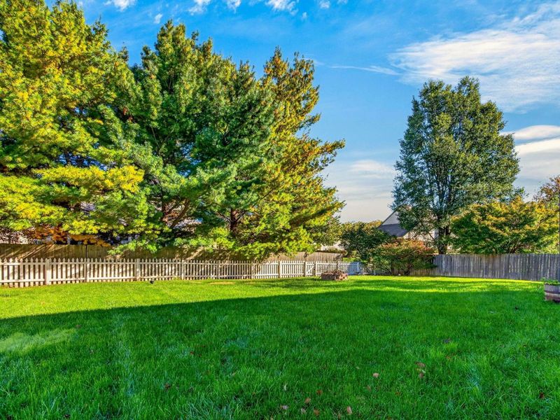 6883 Bay Forest Drive, Westerville, OH 43082 Photo 29