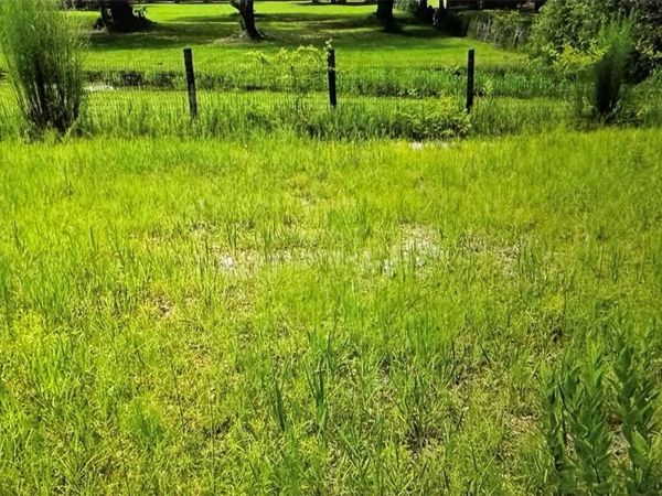 COUNTY ROAD 727 , WEBSTER, FL 33597