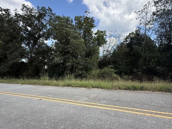 LOT 1 Harrison Davisboro Road, Davisboro, GA 31018