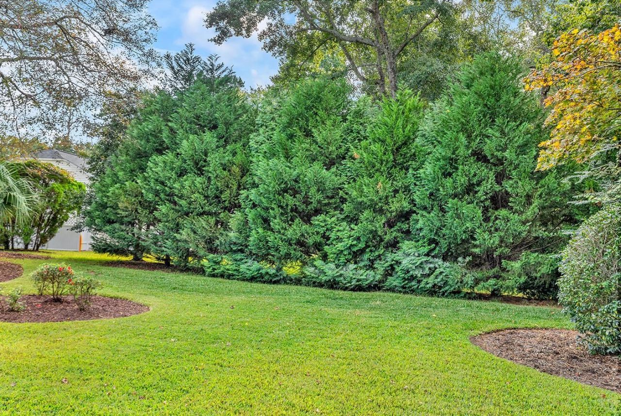 28 Opera Ct. Photo 31