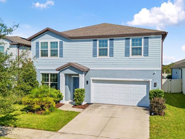 10316 WINE PRESS AVENUE , RIVERVIEW, FL 33578
