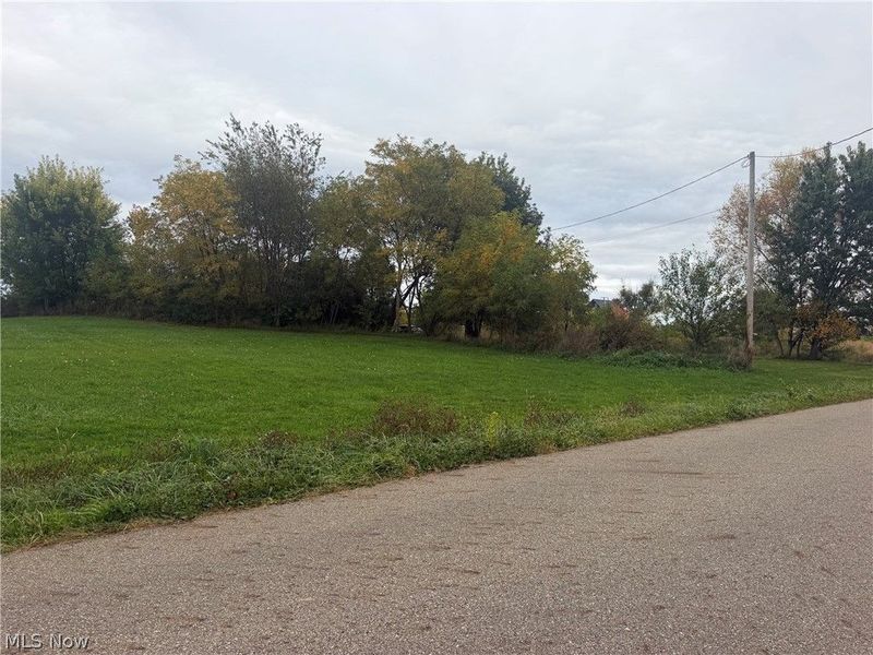 V/L Cenfield Street NE, Alliance, OH 44601 Photo 3