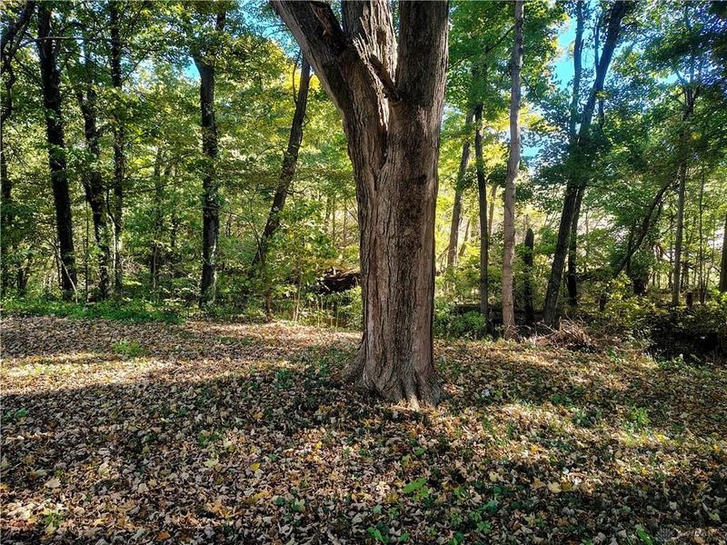 7350 Preston Road, Newark, OH 43055 Photo 55