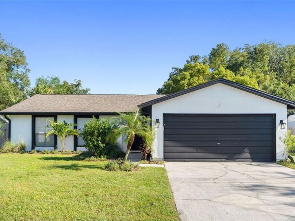 5308 BLACK PINE DRIVE , TAMPA, FL 33624