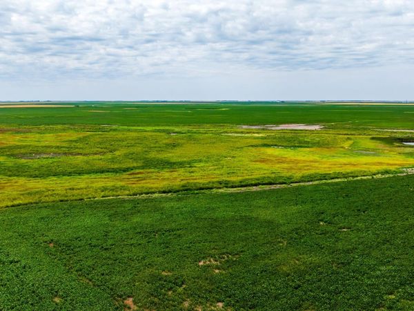 TBD 98 St NE Lot 3 , Bottineau, ND 58318