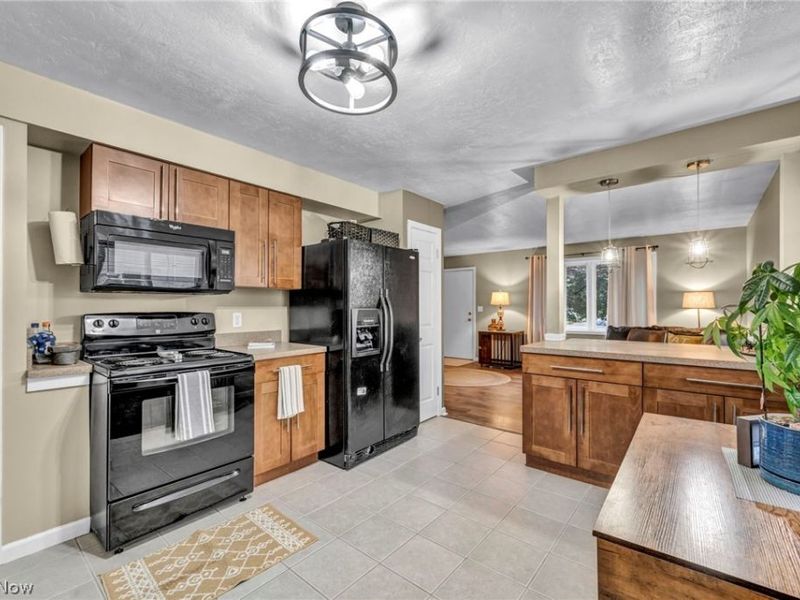 653 Lucille Drive, Elyria, OH 44035 Photo 12