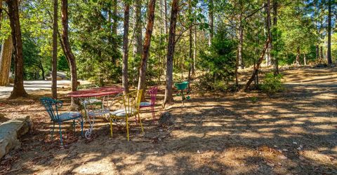 6588 Log Cabin Ln, Placerville, CA 95667 Photo