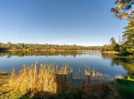 6588 Log Cabin Ln, Placerville, CA 95667 Photo