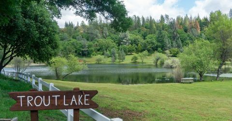 6588 Log Cabin Ln, Placerville, CA 95667 Photo