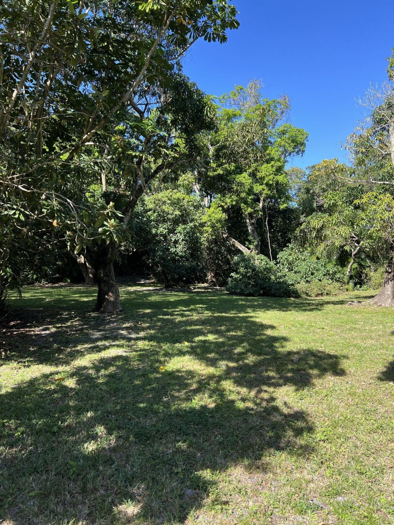 4170 Manor Forest Boulevard, Boynton Beach, FL 33436 Photo