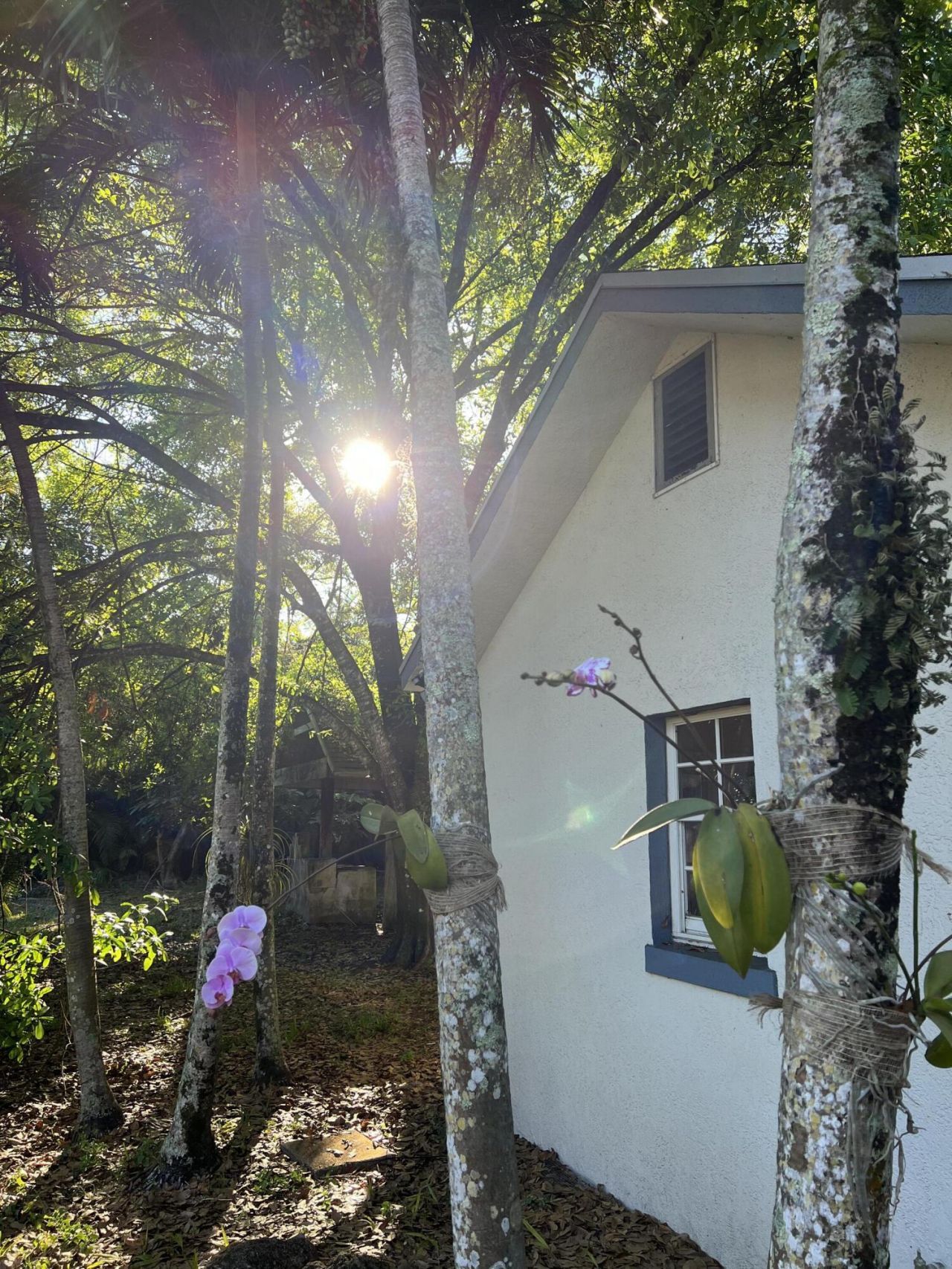 4170 Manor Forest Boulevard, Boynton Beach, FL 33436 Photo