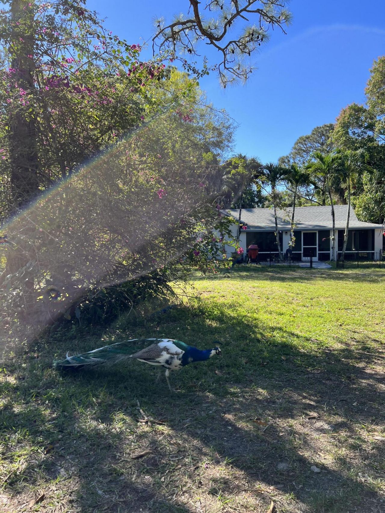 4170 Manor Forest Boulevard, Boynton Beach, FL 33436 Photo