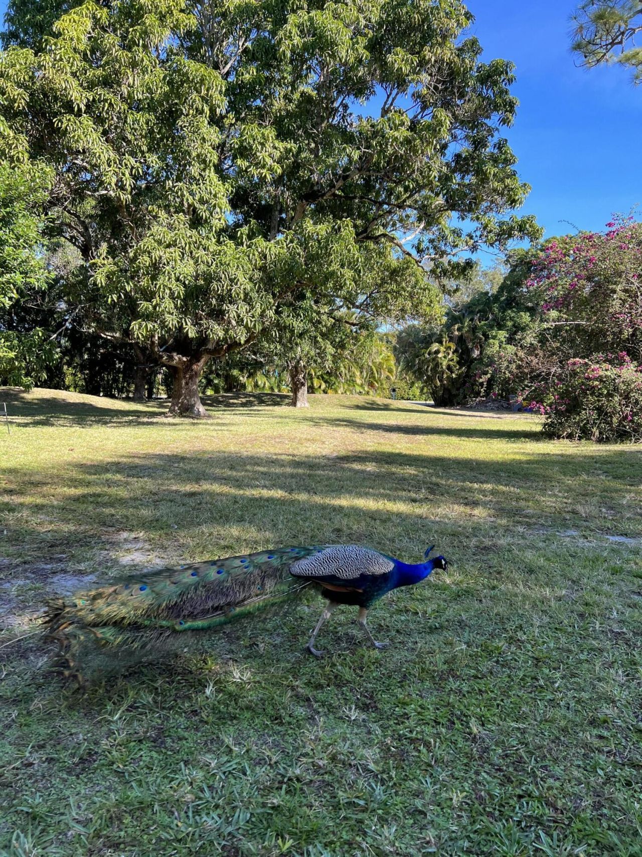 4170 Manor Forest Boulevard, Boynton Beach, FL 33436 Photo