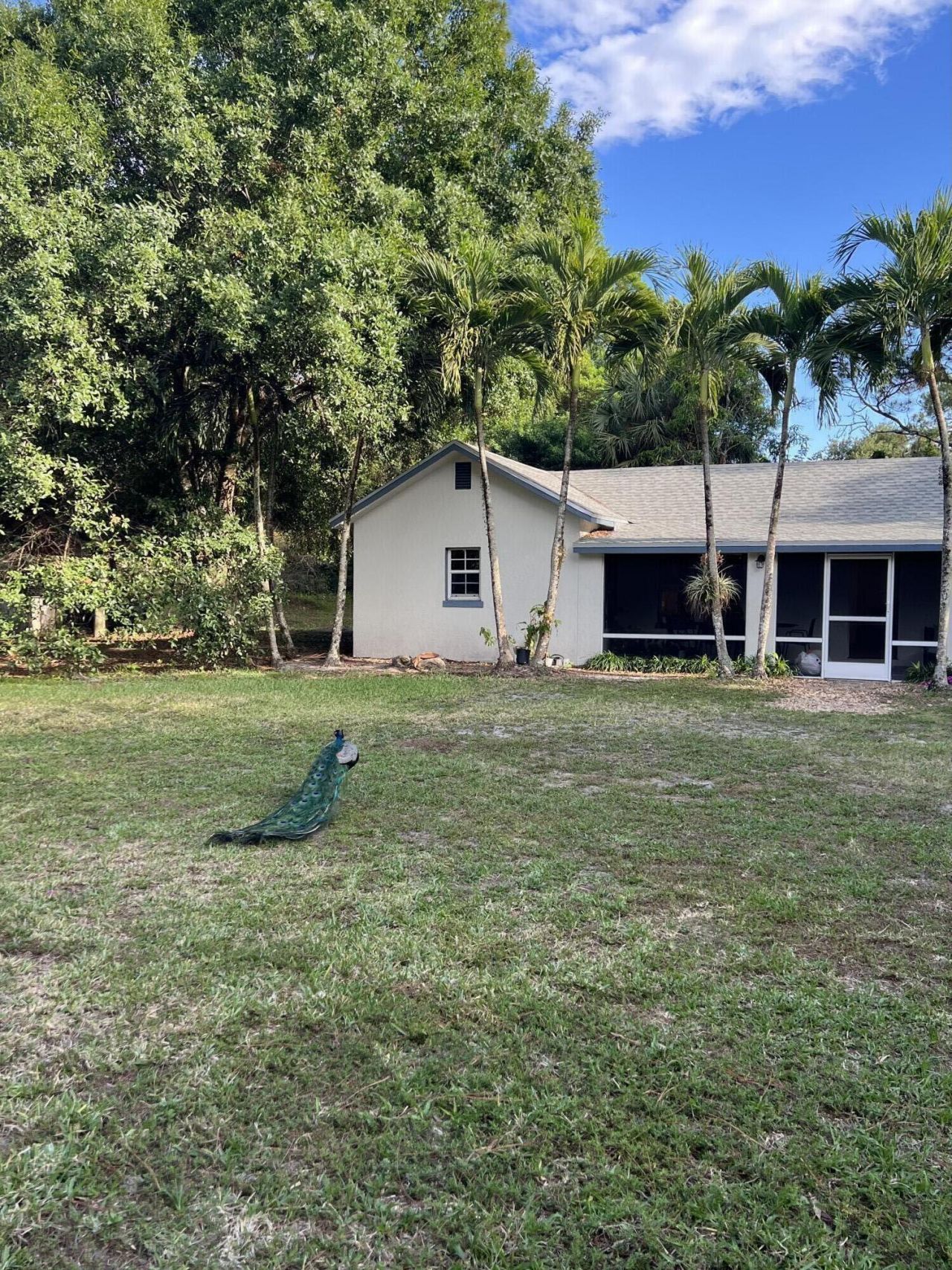 4170 Manor Forest Boulevard, Boynton Beach, FL 33436 Photo