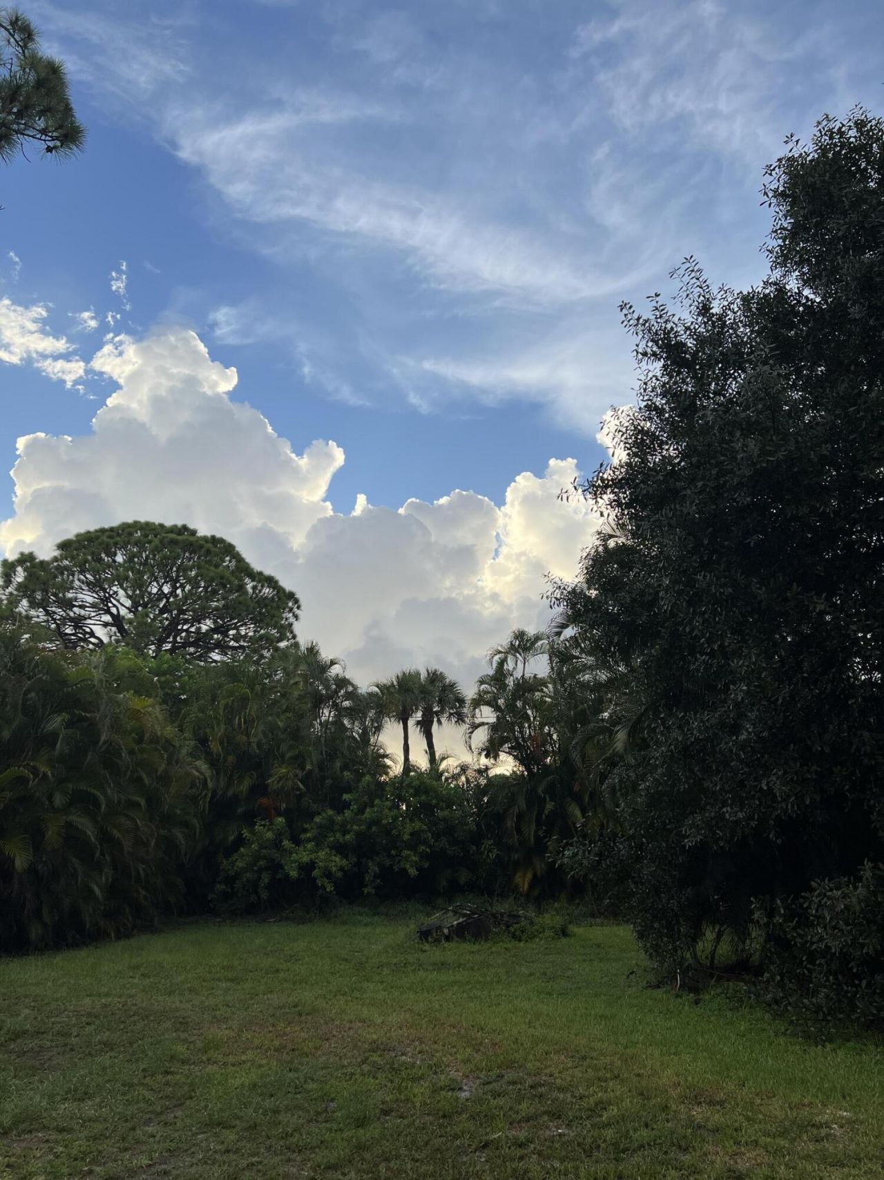 4170 Manor Forest Boulevard, Boynton Beach, FL 33436 Photo