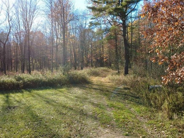 208220 Kane Lane, Mosinee, WI 54455