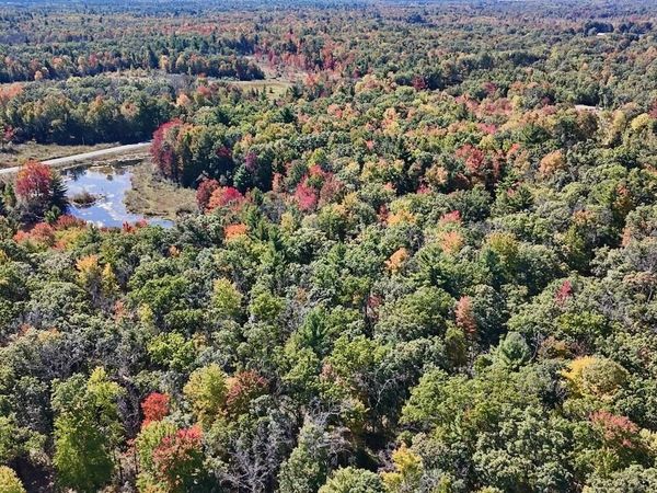 V/L N. Bear Track, White Cloud, MI 49349